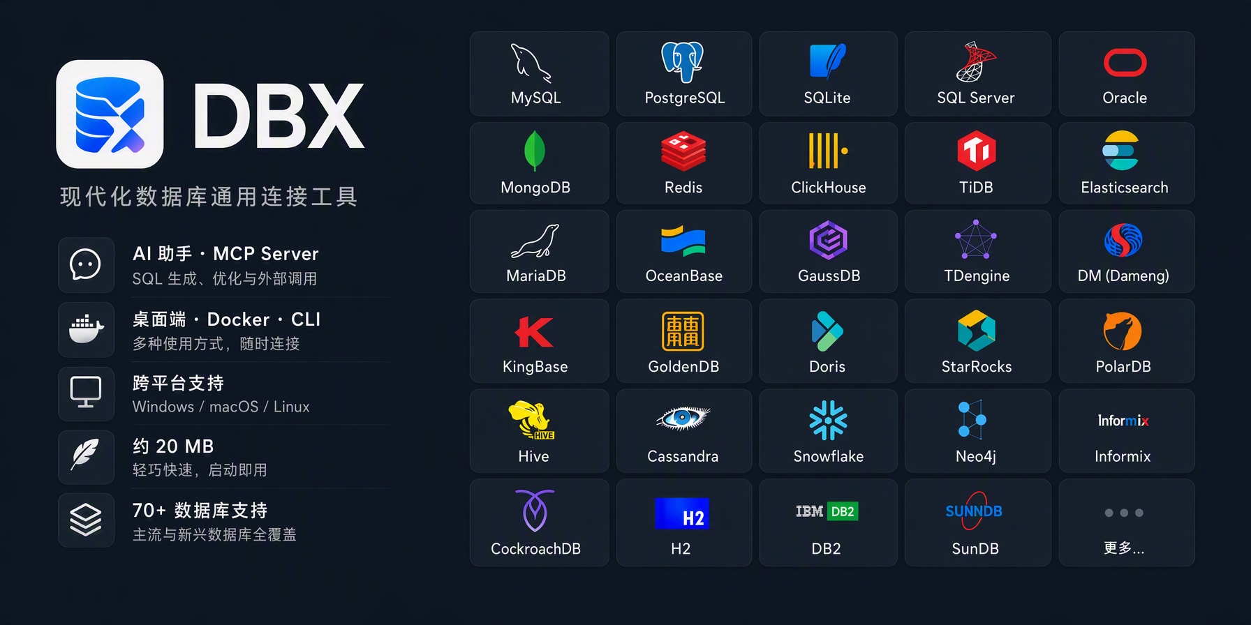 DBX 截图